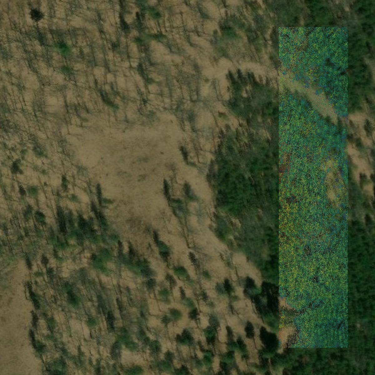 This image shows a LiDAR point cloud in Otsego County created using GIS data in Equator.
