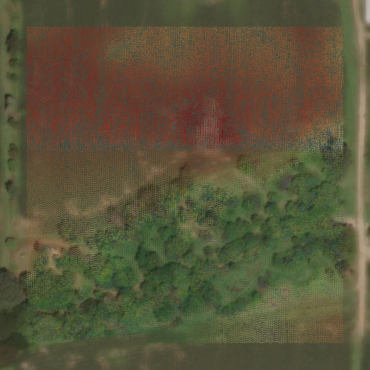 This image shows a LiDAR point cloud in Ottawa County created using GIS data in Equator.