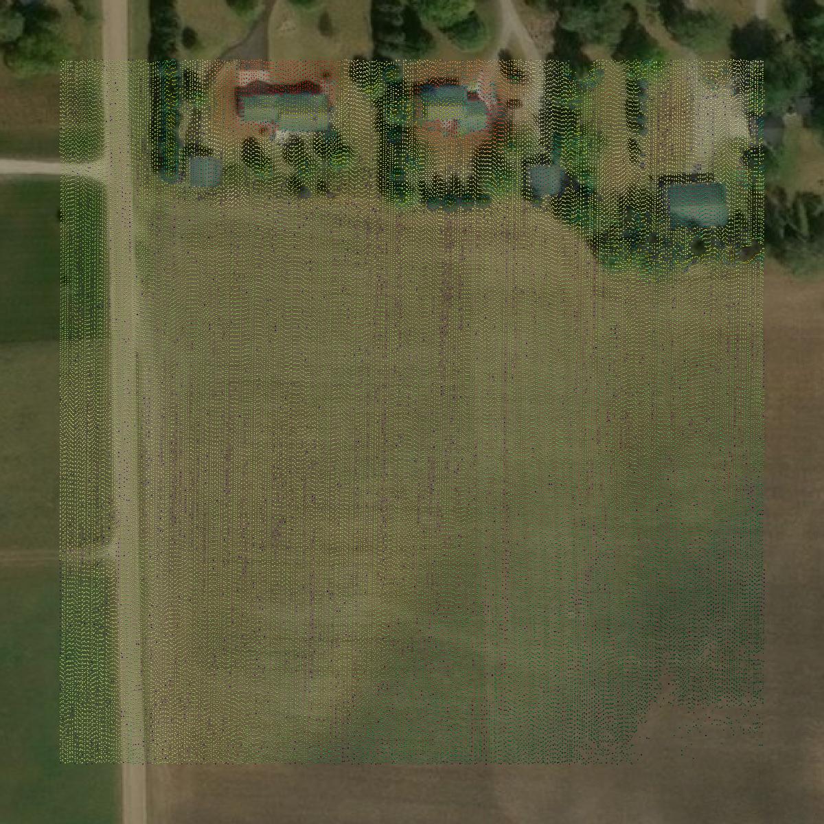 This image shows a LiDAR point cloud in Ottawa County created using GIS data in Equator.
