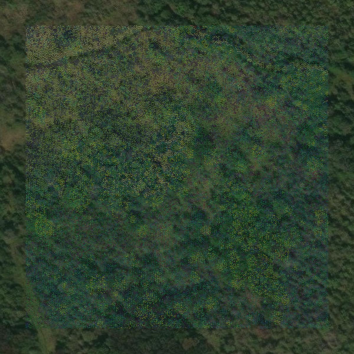 This image shows a LiDAR point cloud in Presque Isle County created using GIS data in Equator.