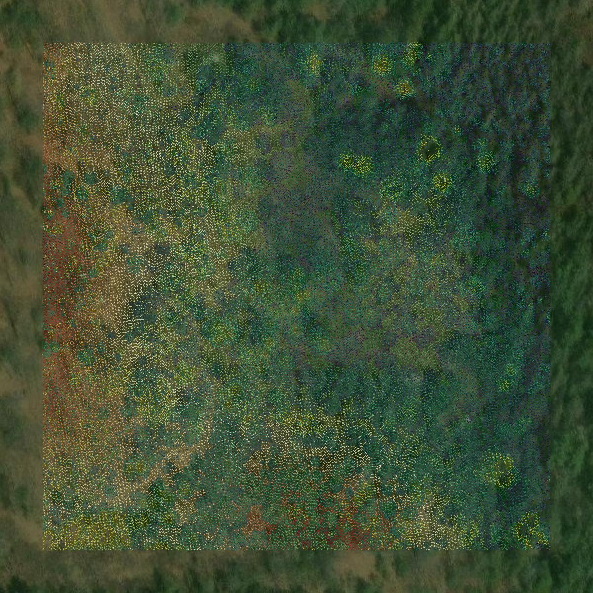 This image shows a LiDAR point cloud in Presque Isle County created using GIS data in Equator.