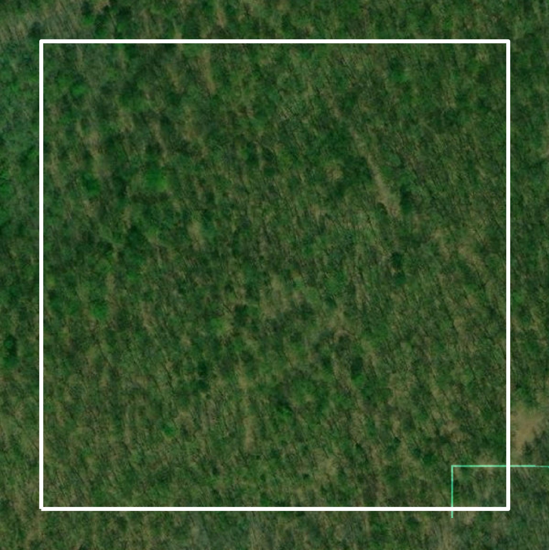 This image shows parcel and building data in Roscommon County created using GIS data in Equator.