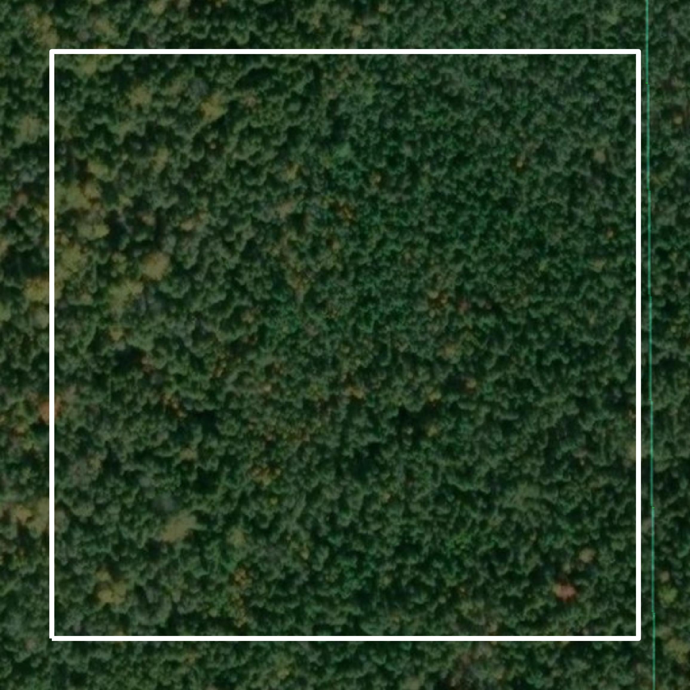 This image shows parcel and building data in Roscommon County created using GIS data in Equator.