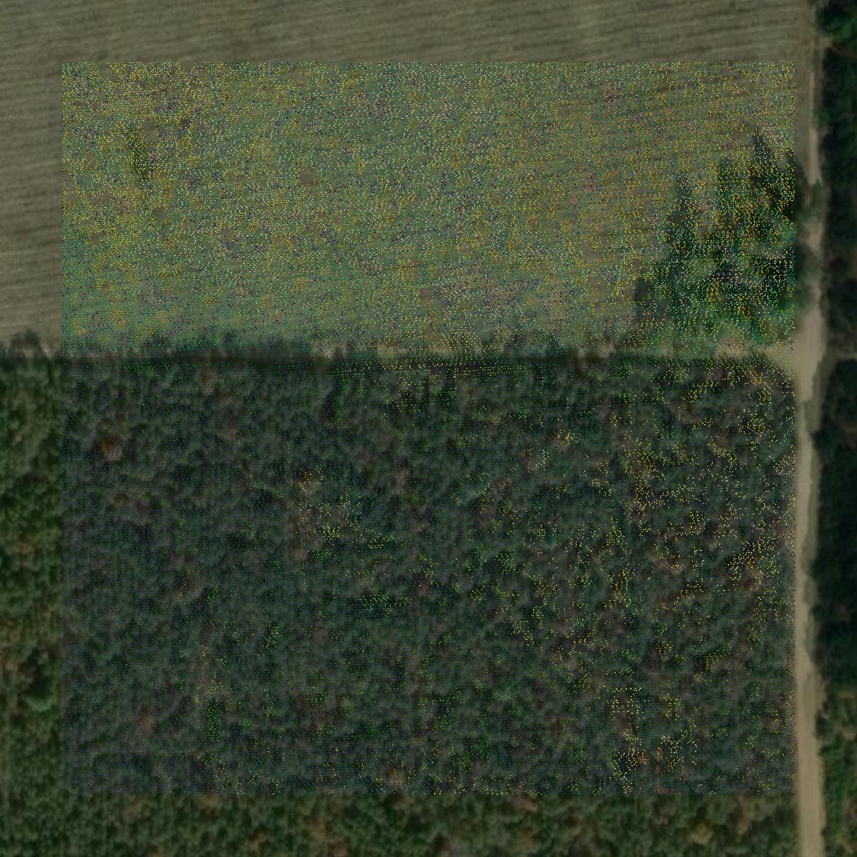 This image shows a LiDAR point cloud in Roscommon County created using GIS data in Equator.