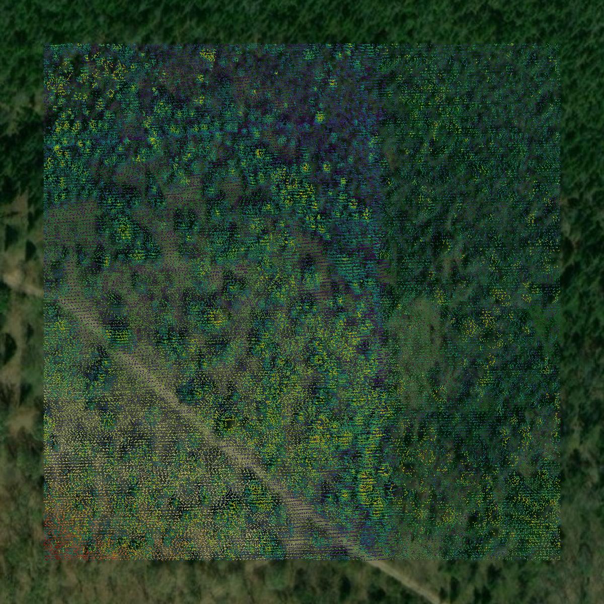 This image shows a LiDAR point cloud in Roscommon County created using GIS data in Equator.