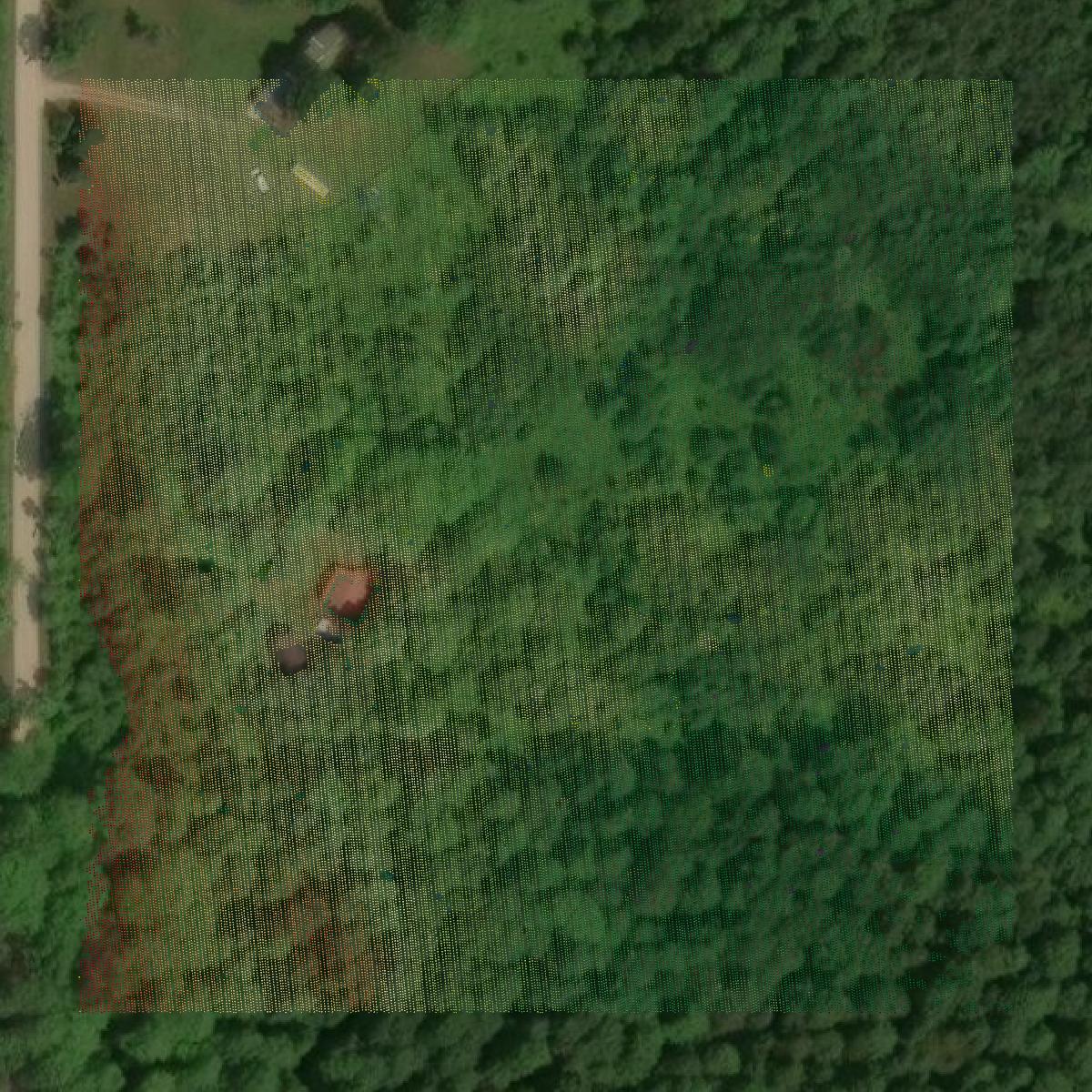 This image shows a LiDAR point cloud in Schoolcraft County created using GIS data in Equator.