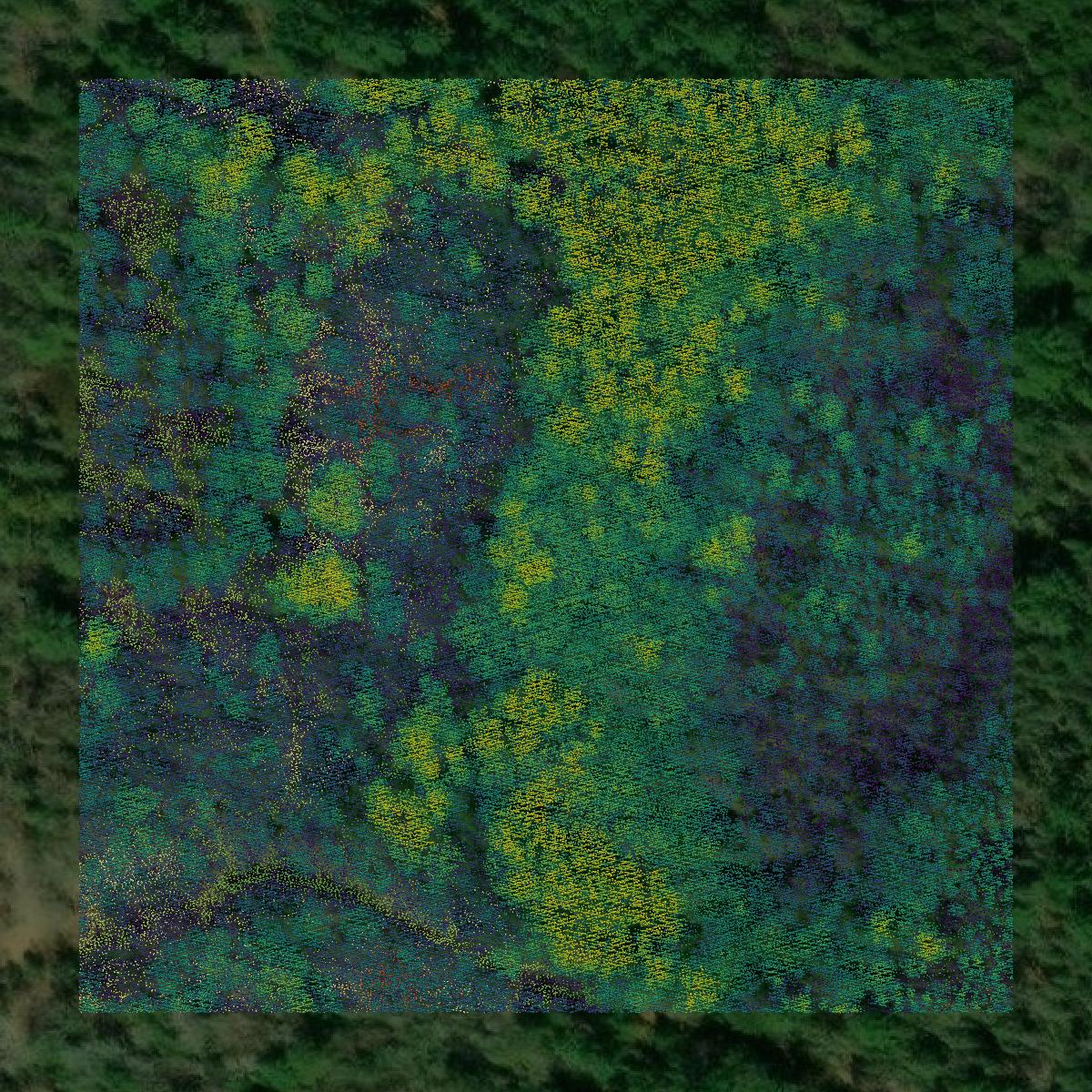 This image shows a LiDAR point cloud in Schoolcraft County created using GIS data in Equator.