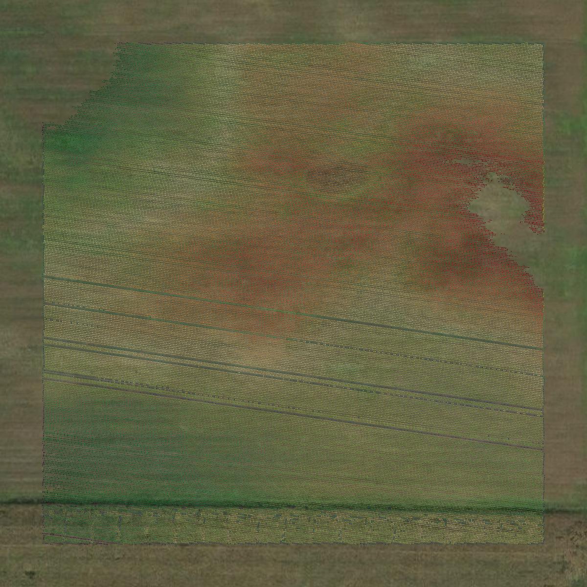 This image shows a LiDAR point cloud in Shiawassee County created using GIS data in Equator.