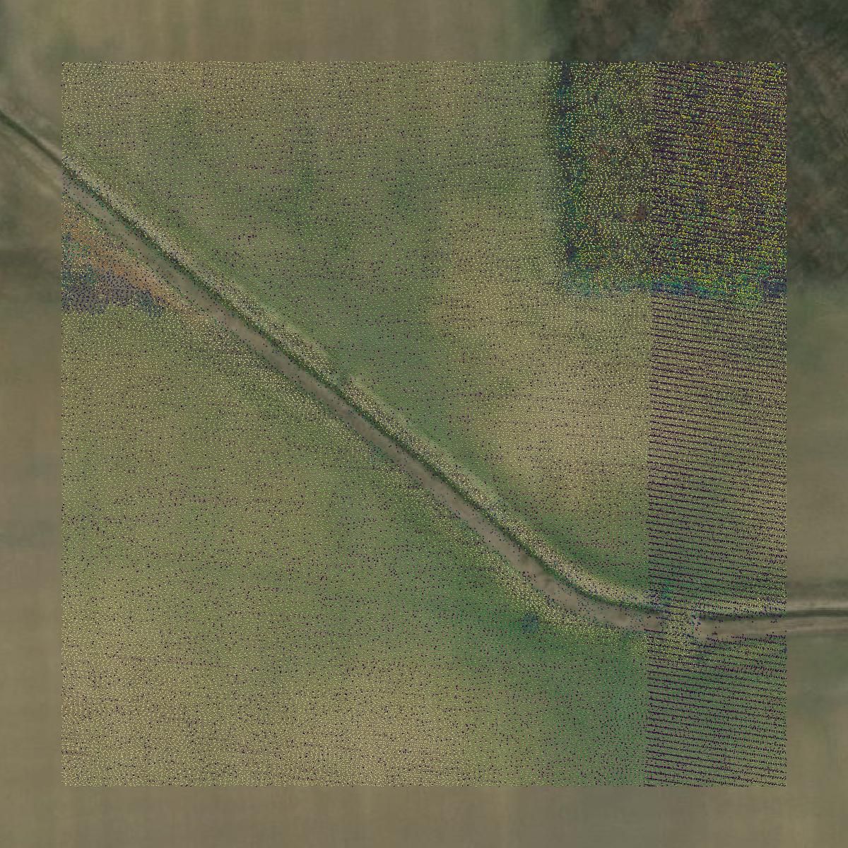 This image shows a LiDAR point cloud in St. Clair County created using GIS data in Equator.