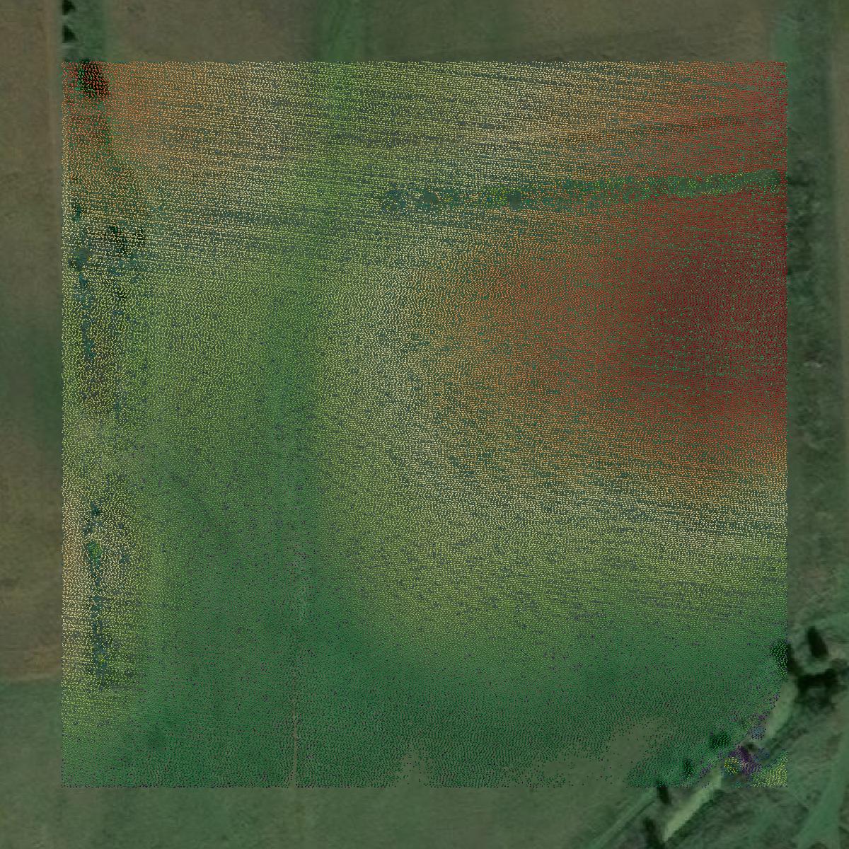This image shows a LiDAR point cloud in St. Clair County created using GIS data in Equator.