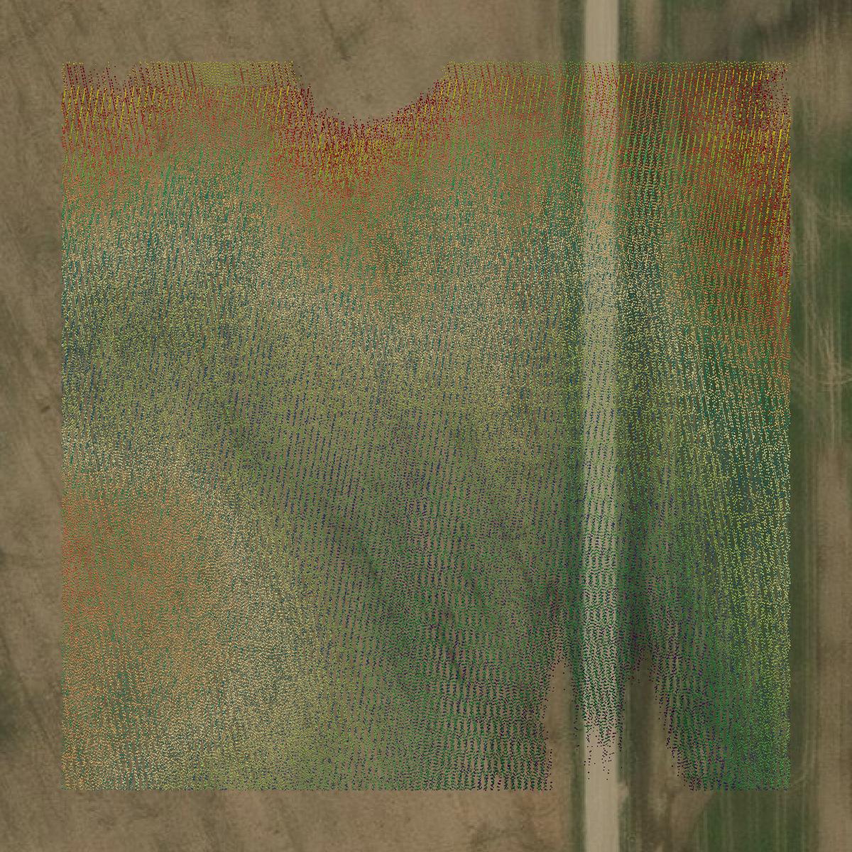 This image shows a LiDAR point cloud in Van Buren County created using GIS data in Equator.