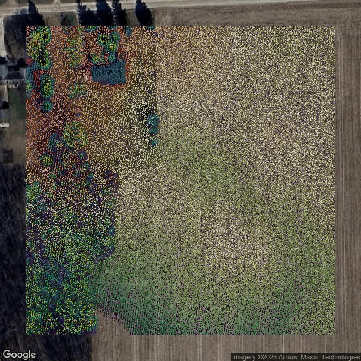 This image shows a LiDAR point cloud in Washtenaw County created using GIS data in Equator.