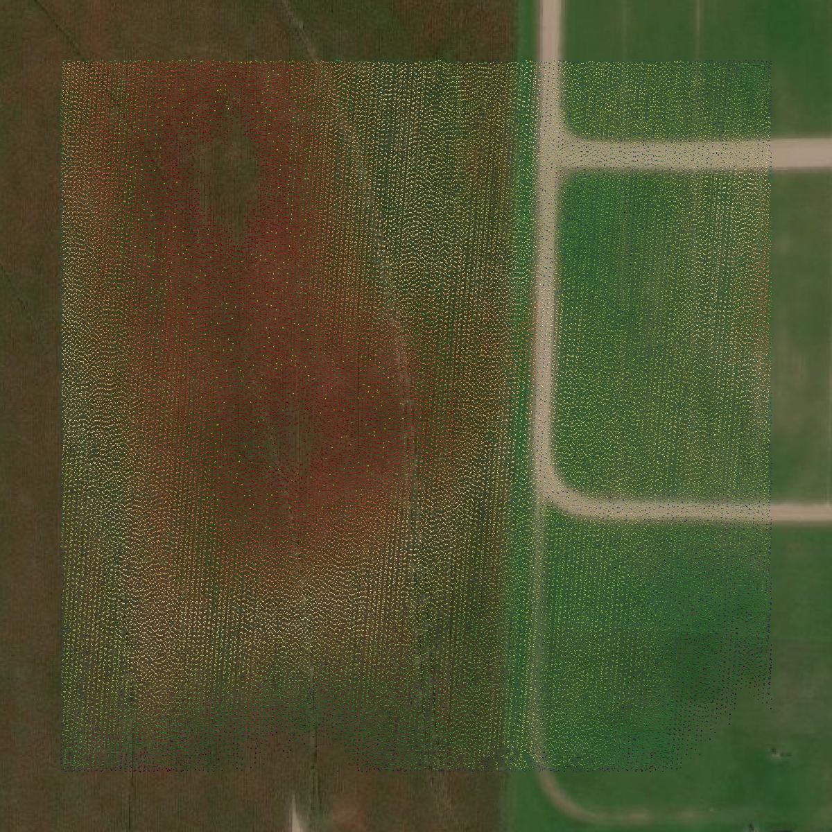 This image shows a LiDAR point cloud in Wexford County created using GIS data in Equator.