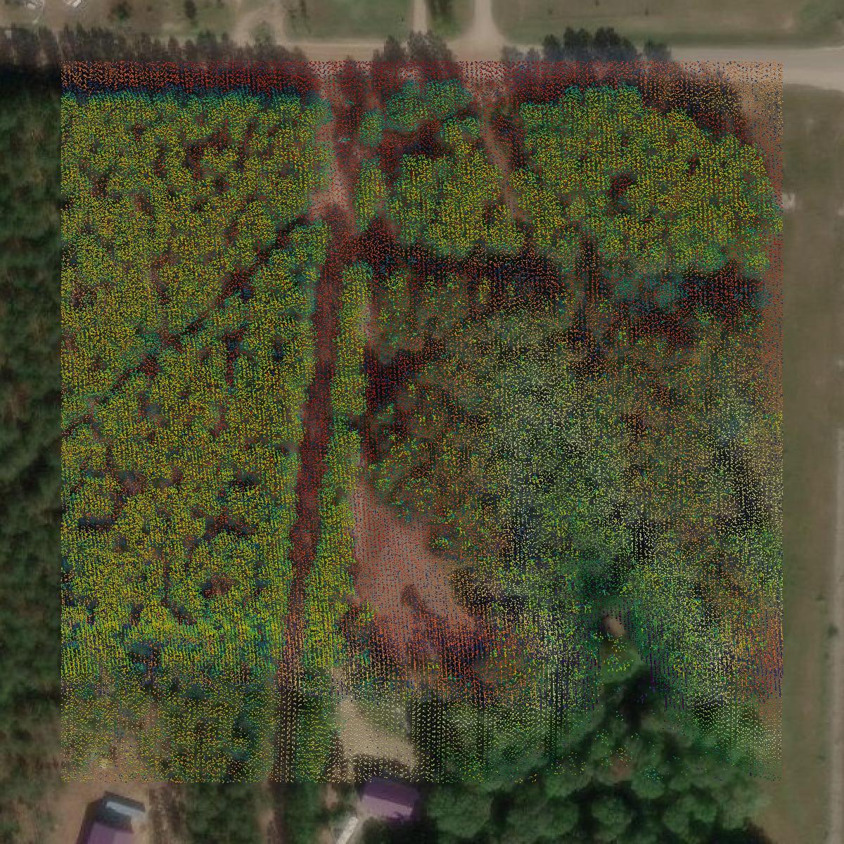 This image shows a LiDAR point cloud in Wexford County created using GIS data in Equator.