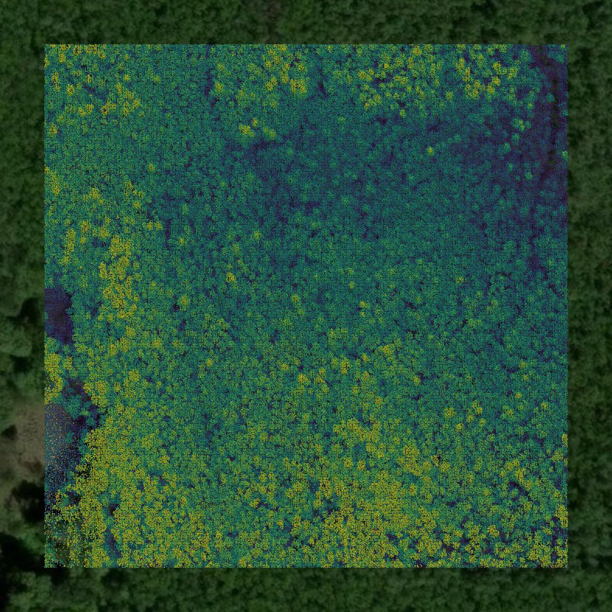 This image shows a LiDAR point cloud in Aitkin County created using GIS data in Equator.