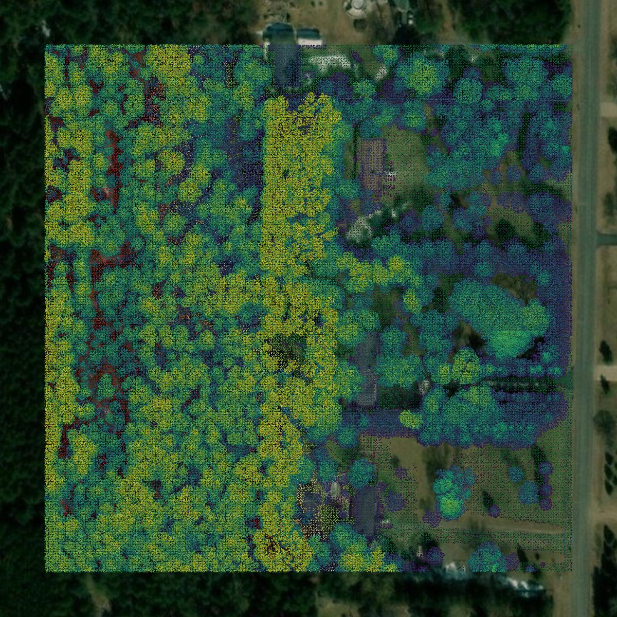 This image shows a LiDAR point cloud in Anoka County created using GIS data in Equator.