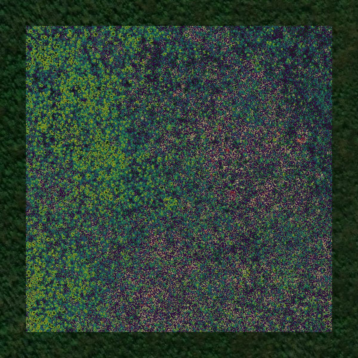 This image shows a LiDAR point cloud in Beltrami County created using GIS data in Equator.