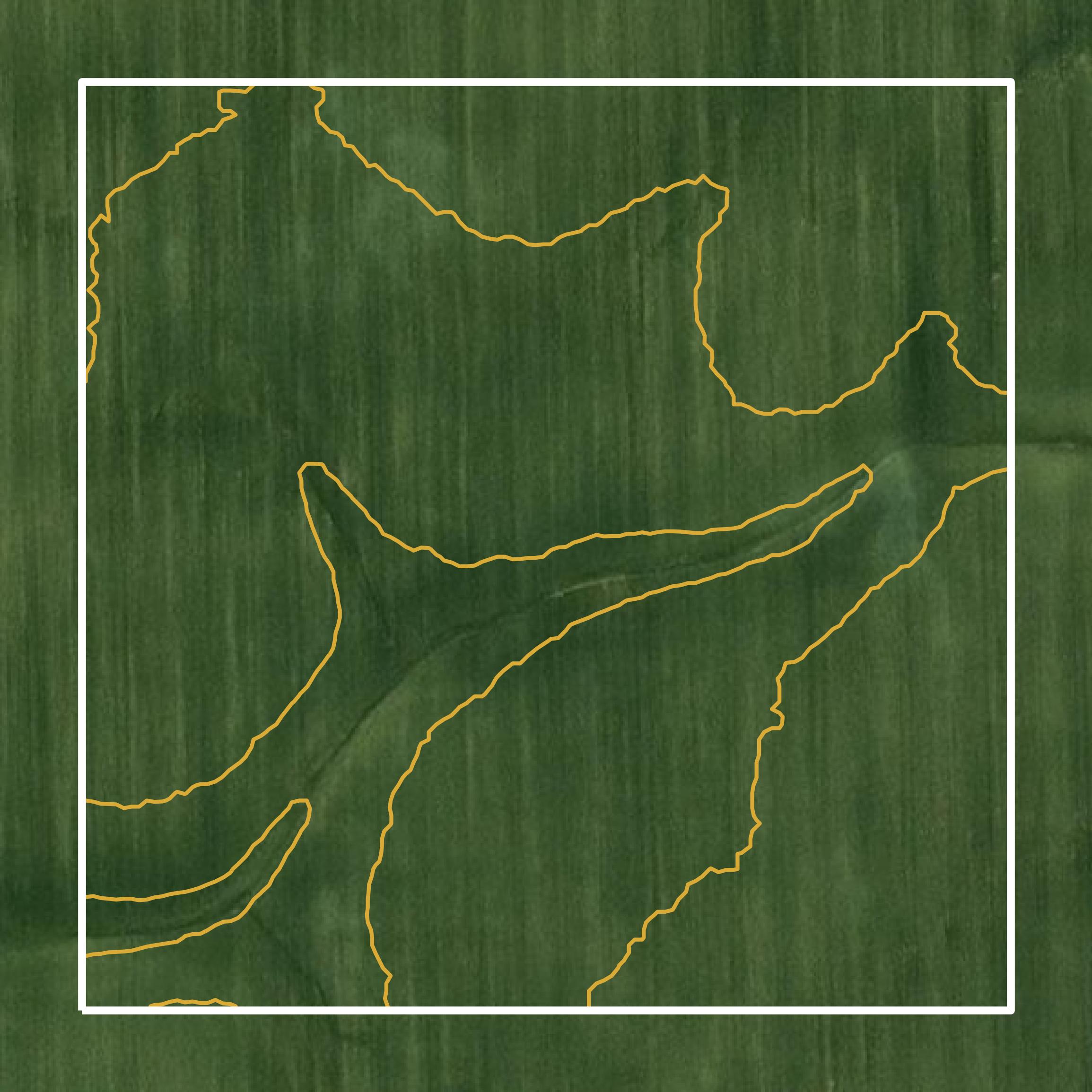 This image shows a contour map in Big Stone County created using GIS data in Equator.