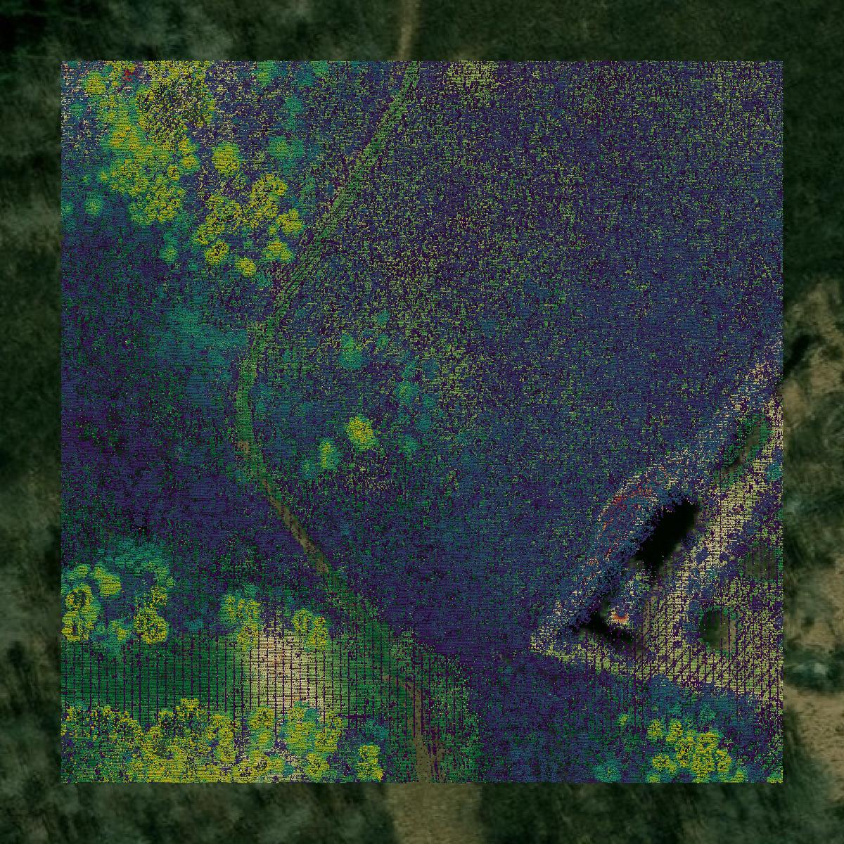 This image shows a LiDAR point cloud in Carlton County created using GIS data in Equator.