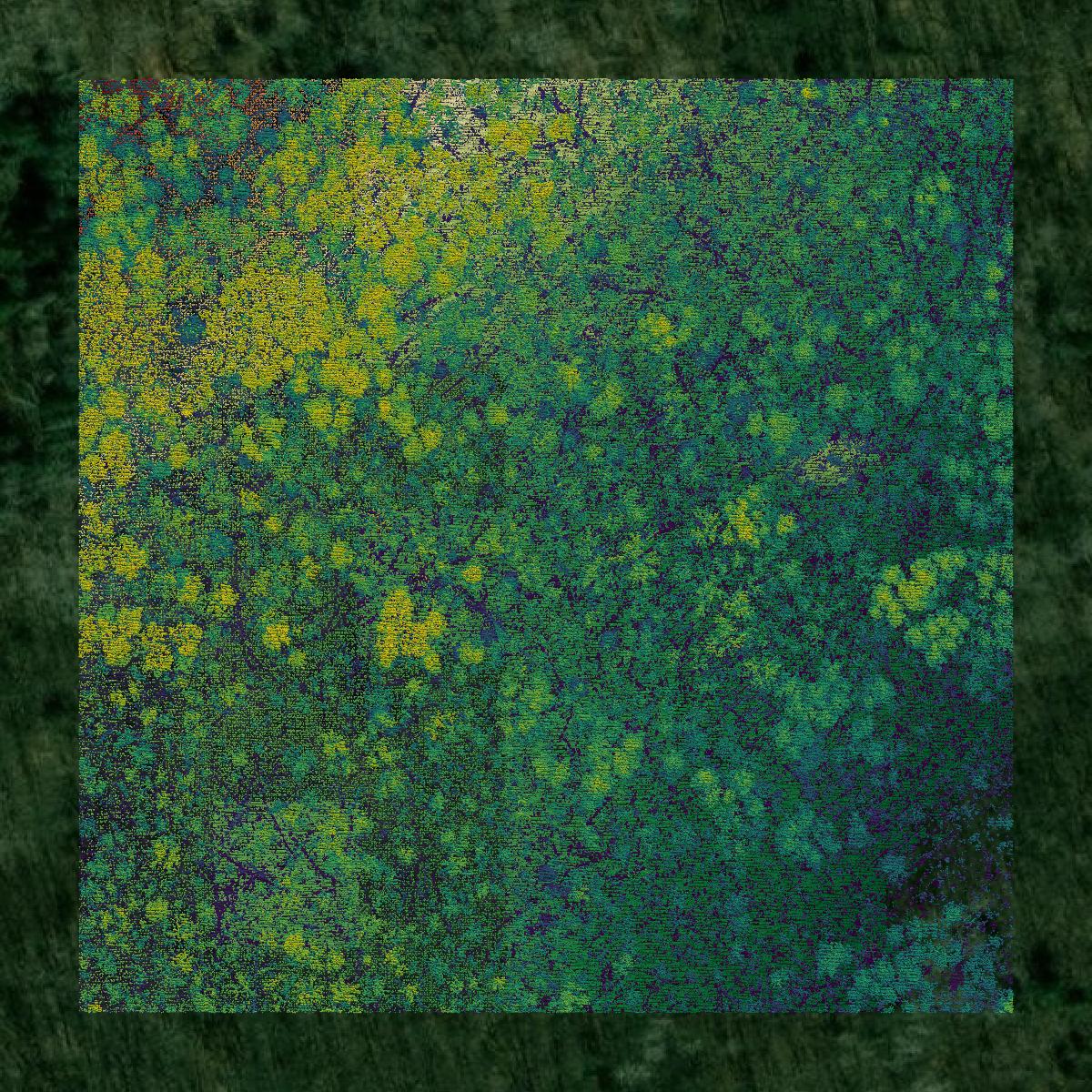 This image shows a LiDAR point cloud in Carlton County created using GIS data in Equator.