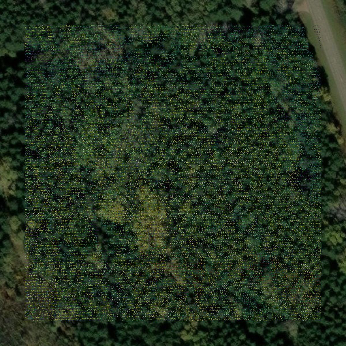 This image shows a LiDAR point cloud in Cass County created using GIS data in Equator.