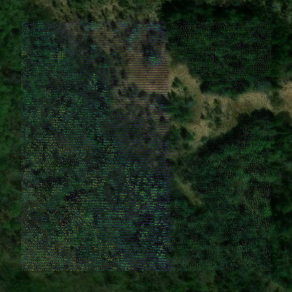 This image shows a LiDAR point cloud in Cass County created using GIS data in Equator.