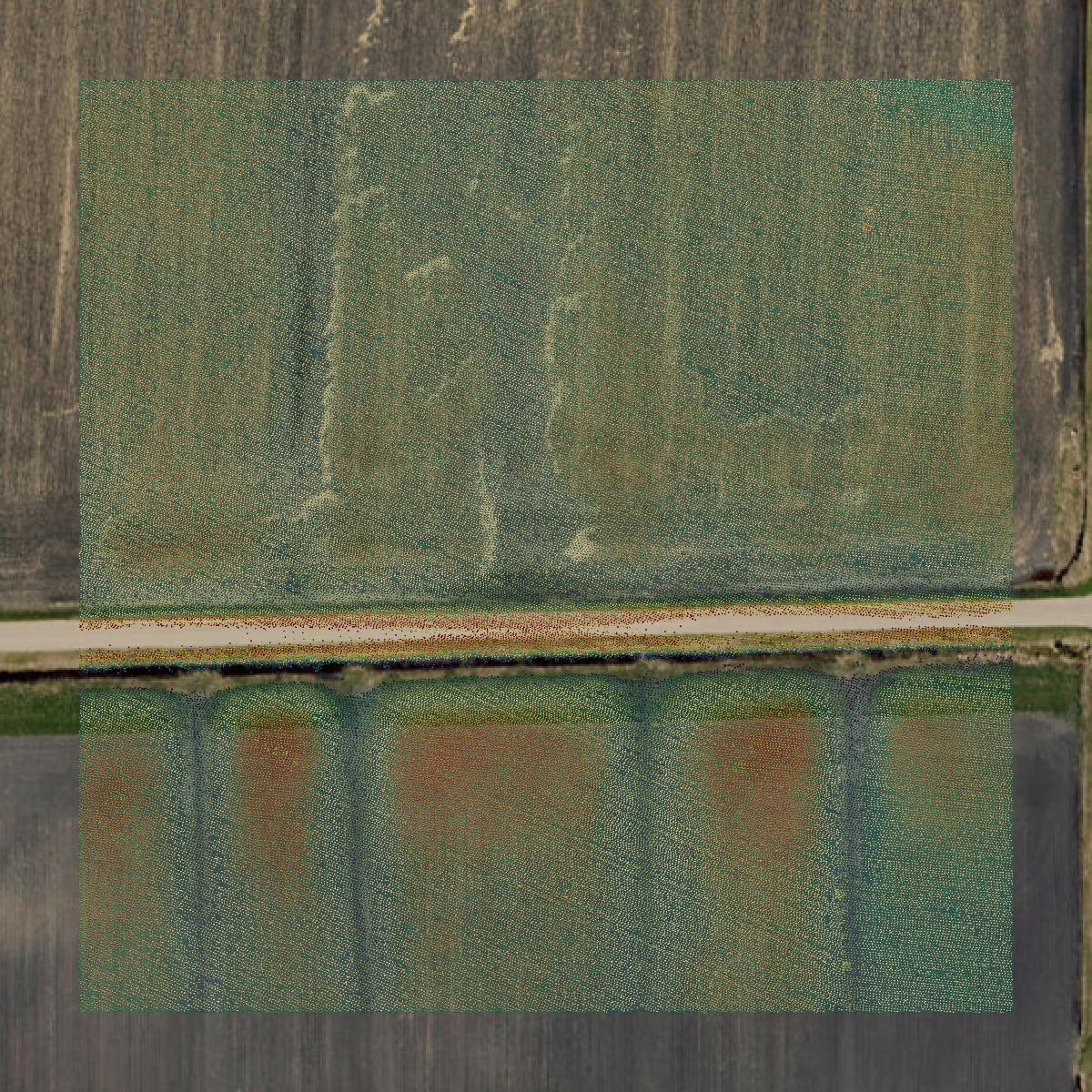 This image shows a LiDAR point cloud in Clay County created using GIS data in Equator.