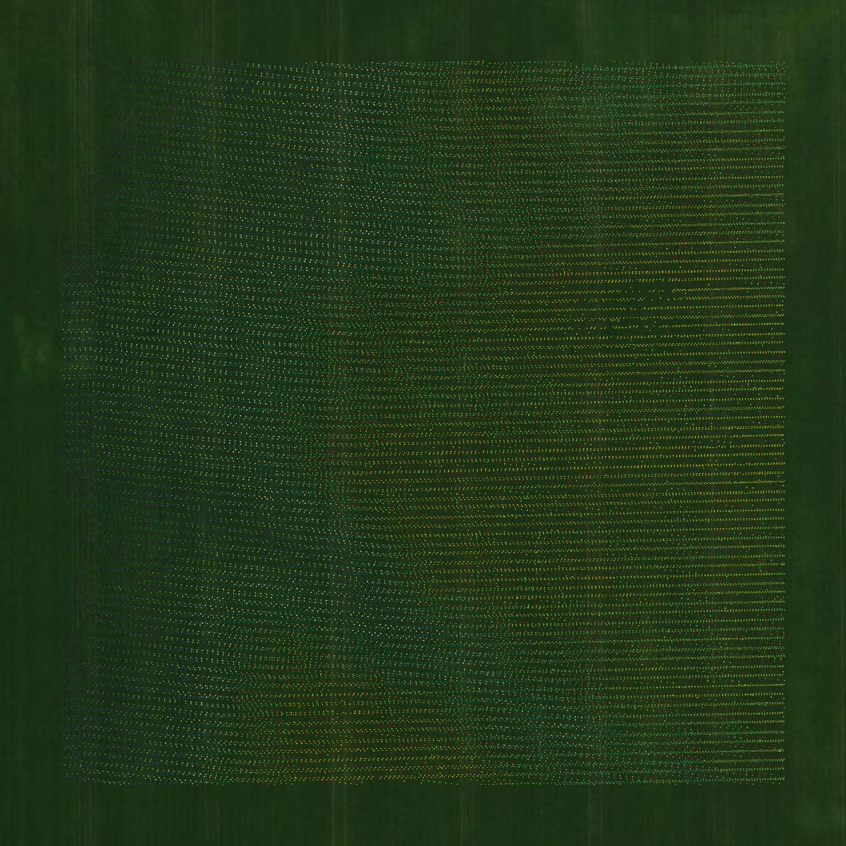 This image shows a LiDAR point cloud in Clay County created using GIS data in Equator.