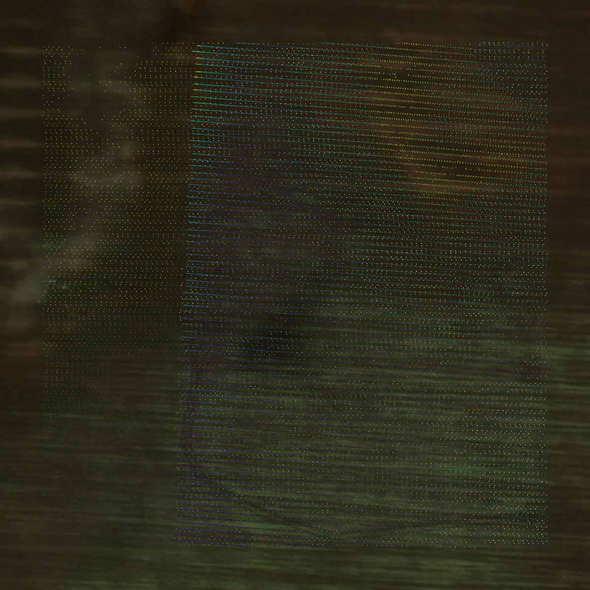 This image shows a LiDAR point cloud in Clearwater County created using GIS data in Equator.