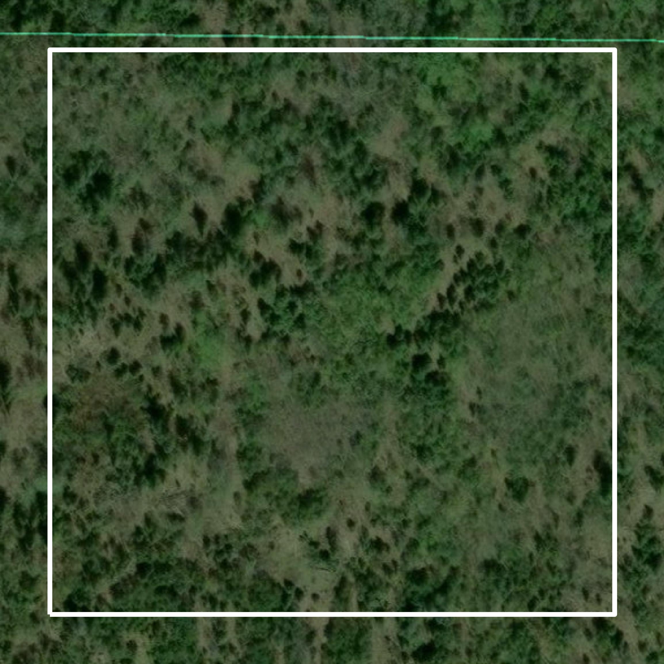This image shows parcel and building data in Cook County created using GIS data in Equator.