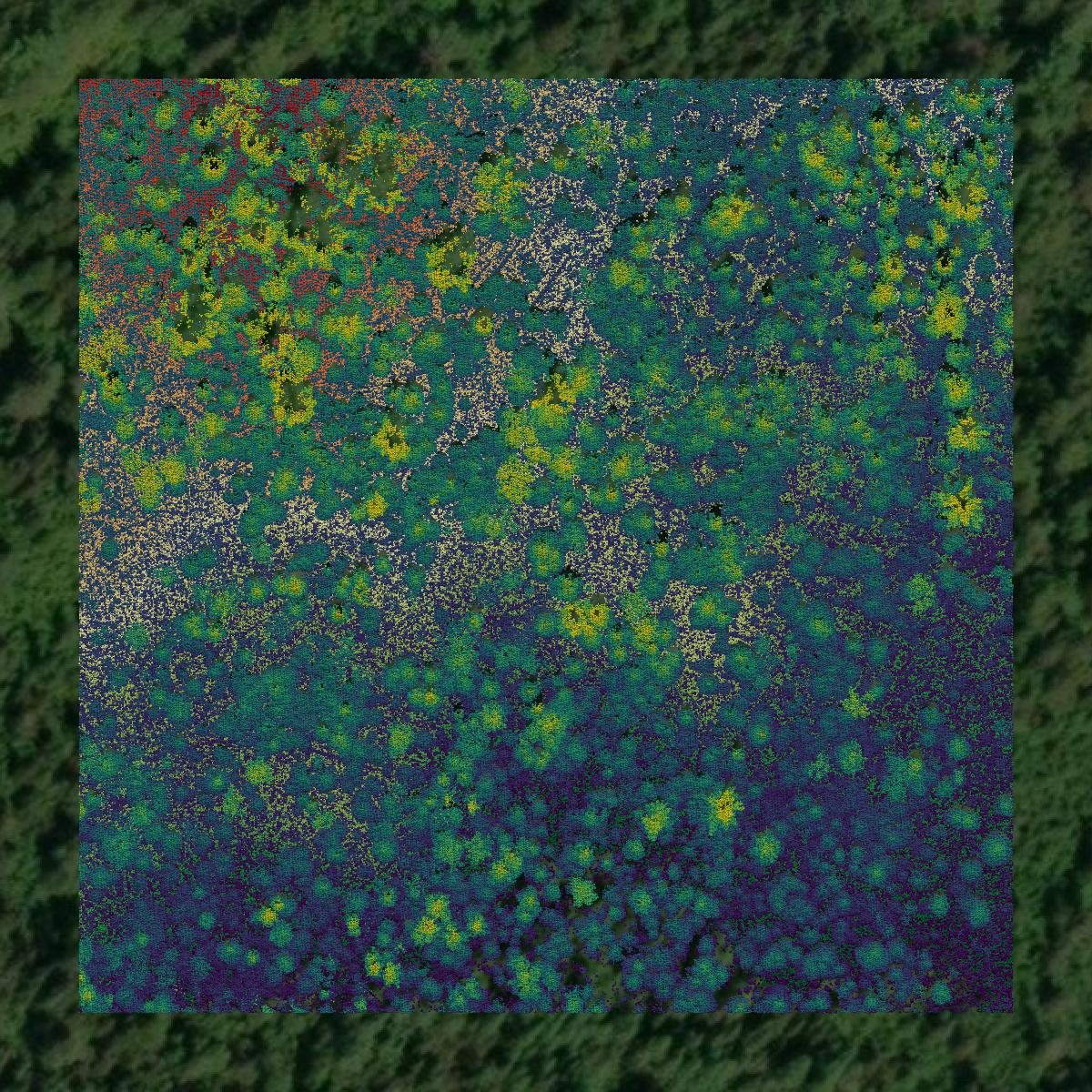 This image shows a LiDAR point cloud in Cook County created using GIS data in Equator.