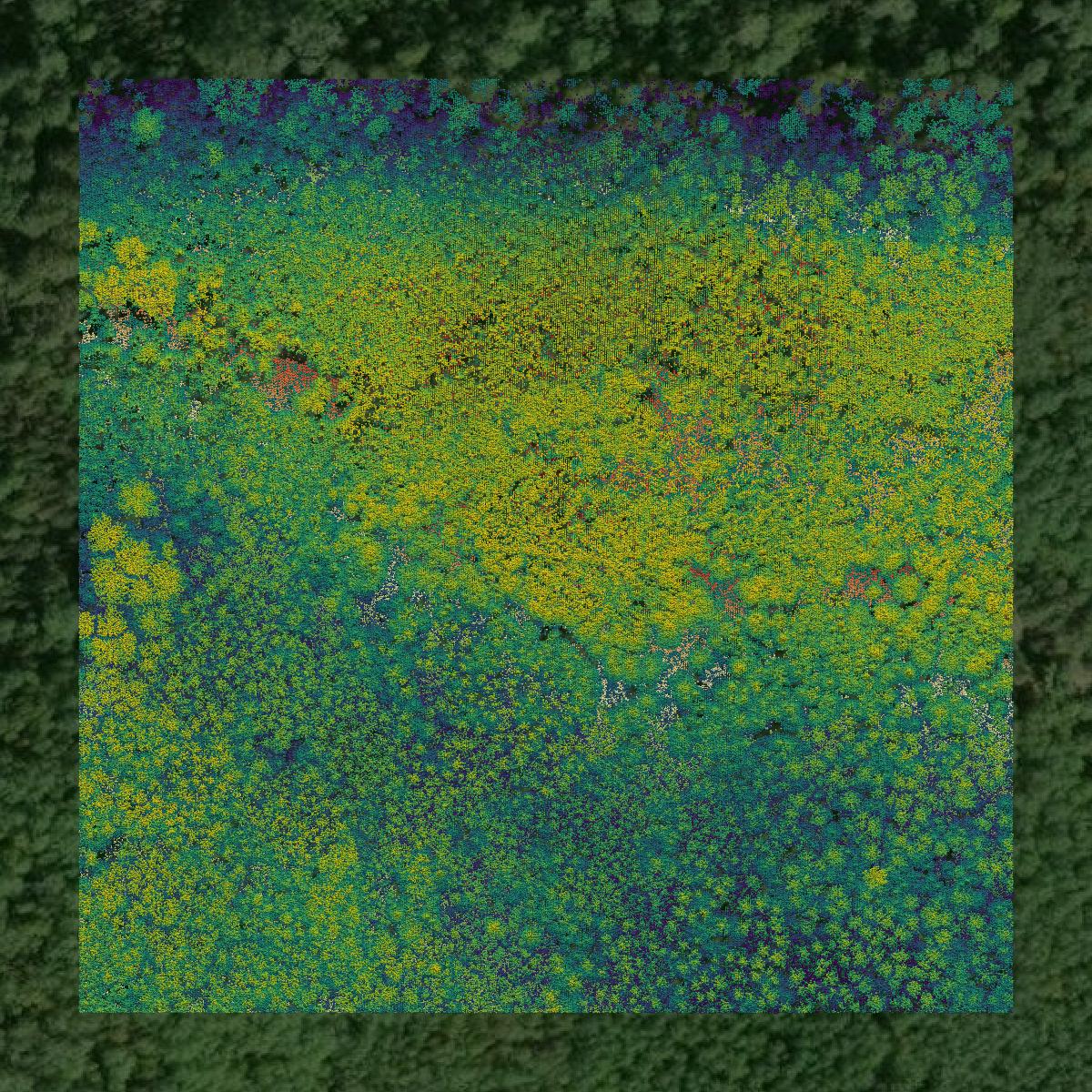 This image shows a LiDAR point cloud in Cook County created using GIS data in Equator.