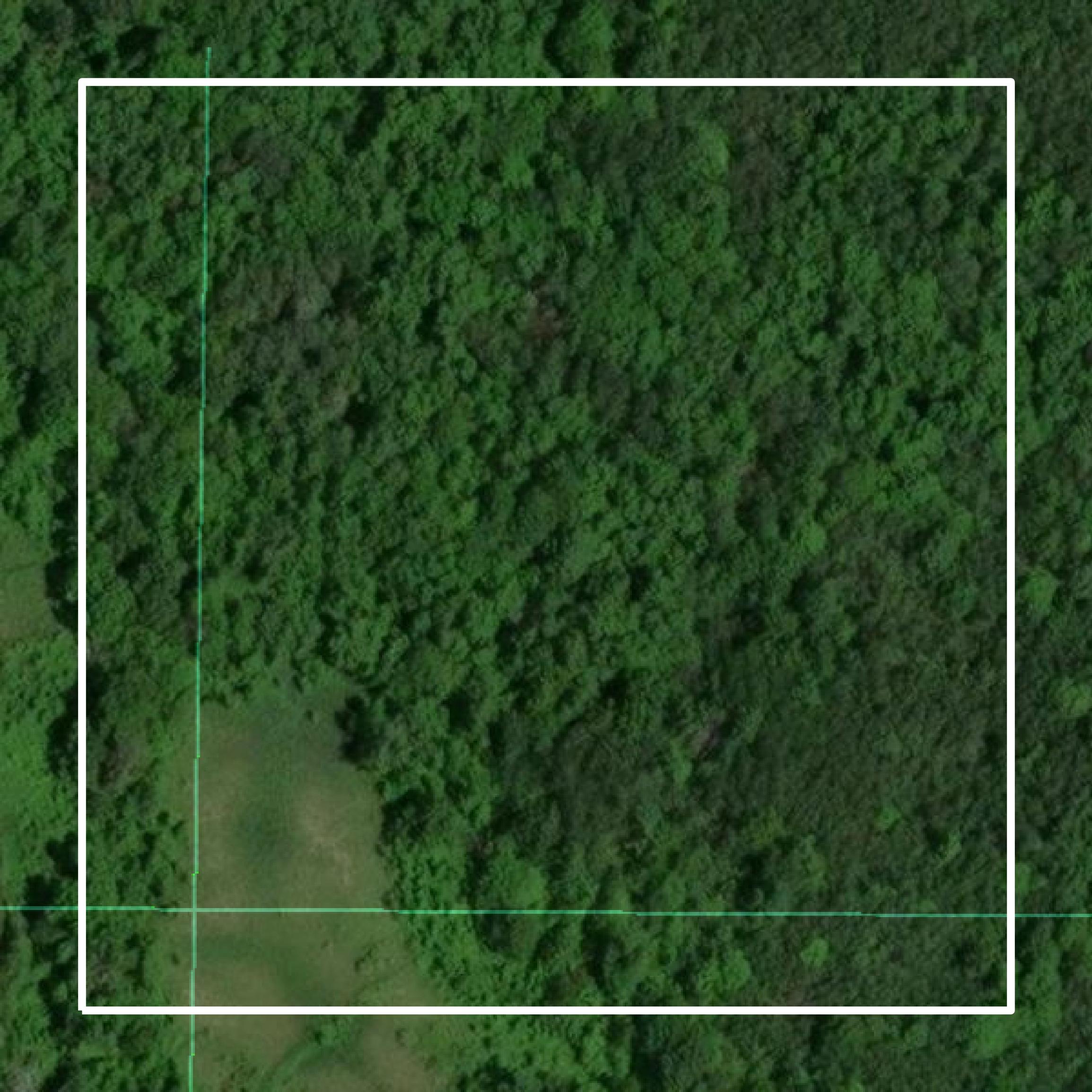 This image shows parcel and building data in Crow Wing County created using GIS data in Equator.