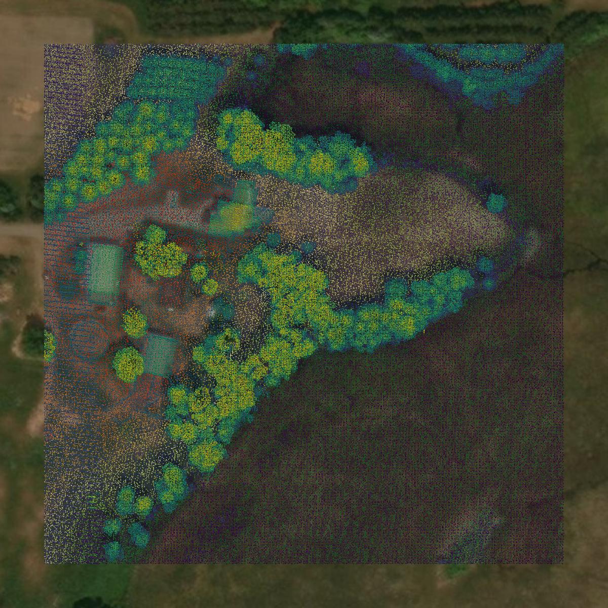 This image shows a LiDAR point cloud in Crow Wing County created using GIS data in Equator.