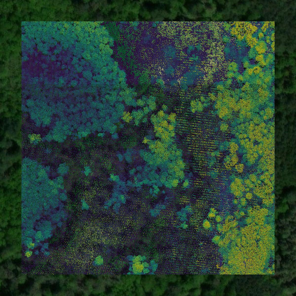 This image shows a LiDAR point cloud in Crow Wing County created using GIS data in Equator.