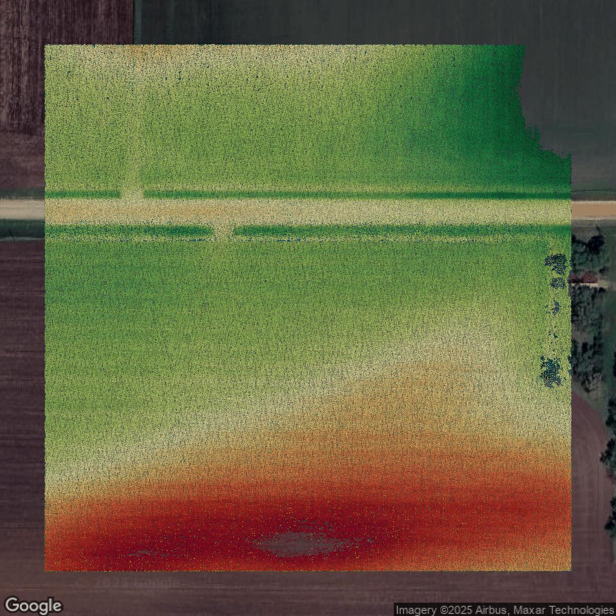 This image shows a LiDAR point cloud in Dakota County created using GIS data in Equator.