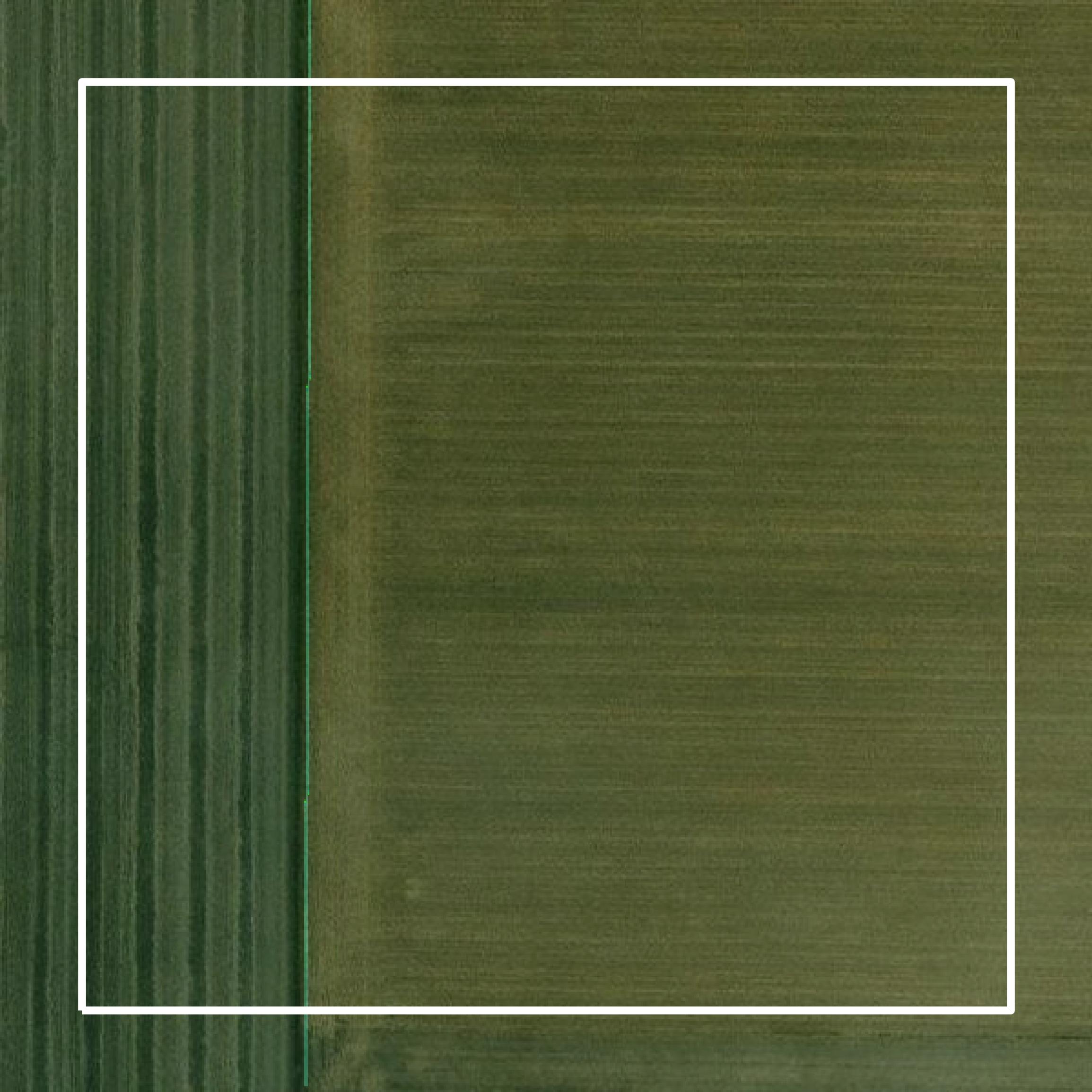 This image shows parcel and building data in Freeborn County created using GIS data in Equator.