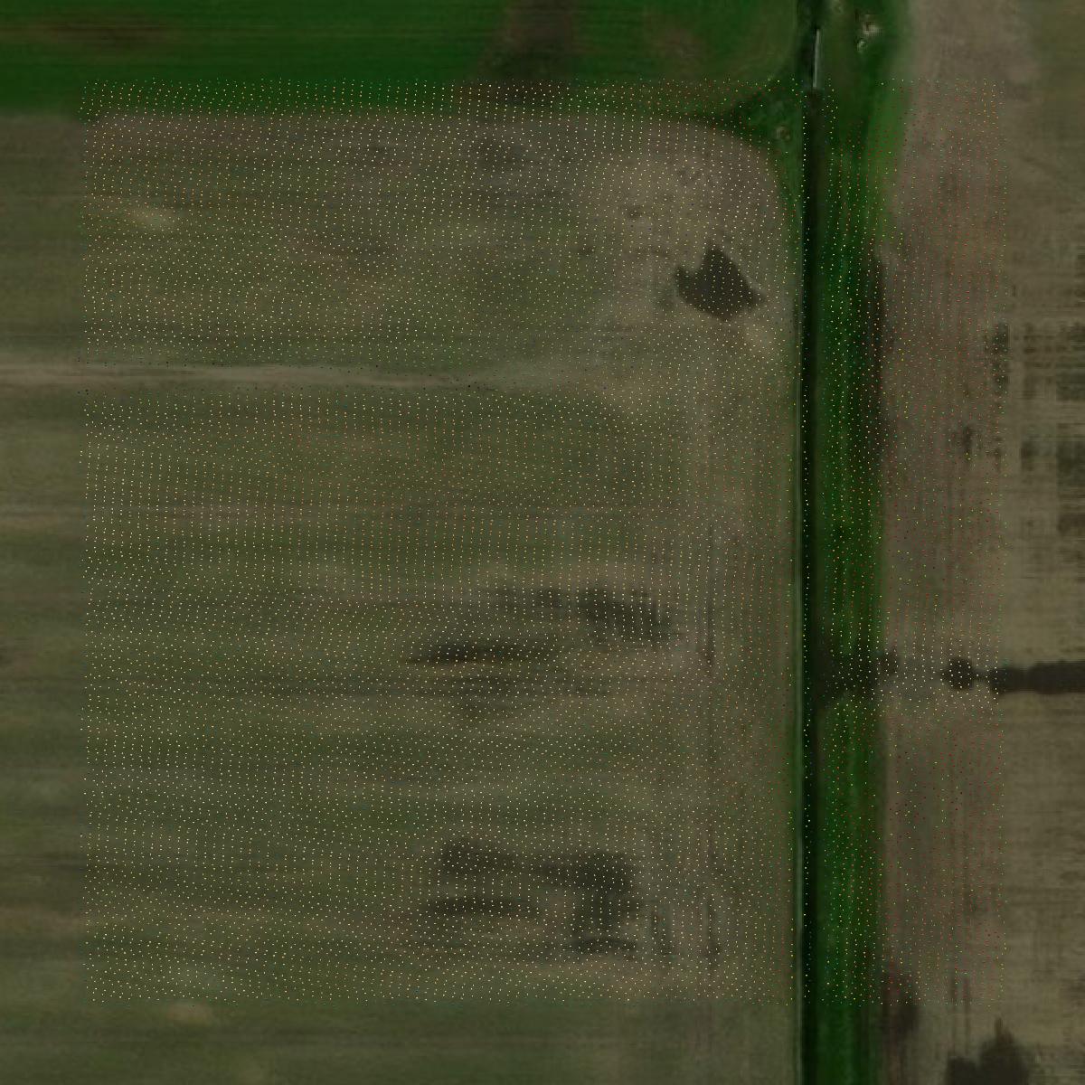 This image shows a LiDAR point cloud in Grant County created using GIS data in Equator.