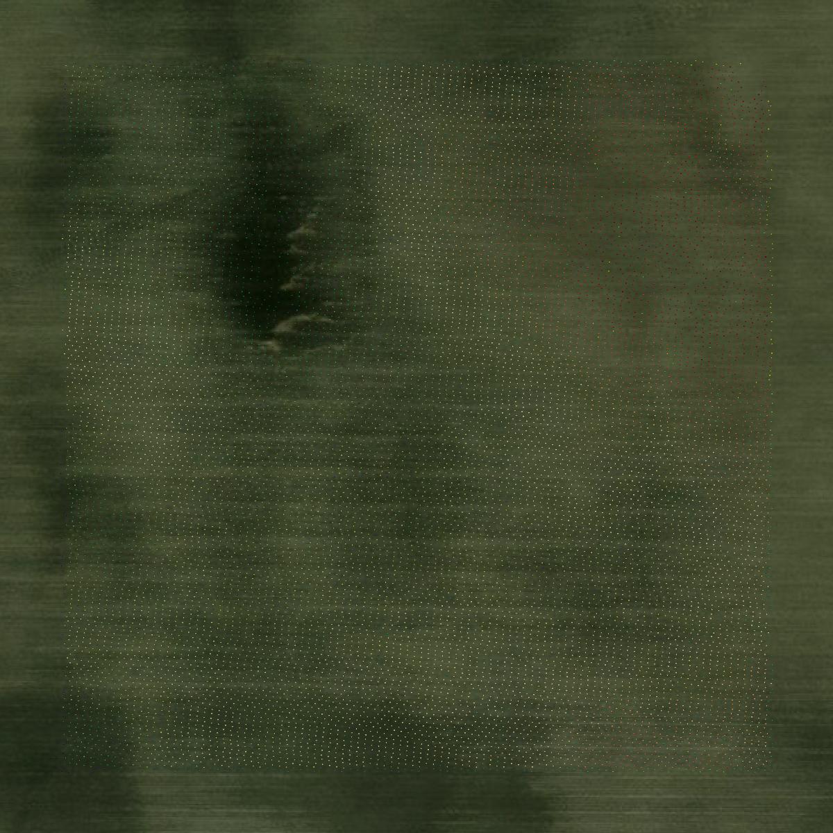 This image shows a LiDAR point cloud in Grant County created using GIS data in Equator.