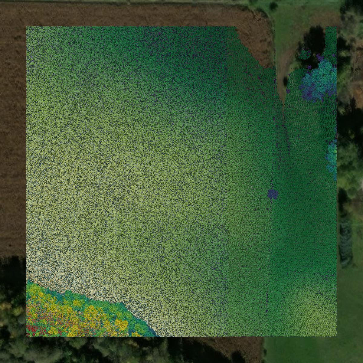 This image shows a LiDAR point cloud in Houston County created using GIS data in Equator.