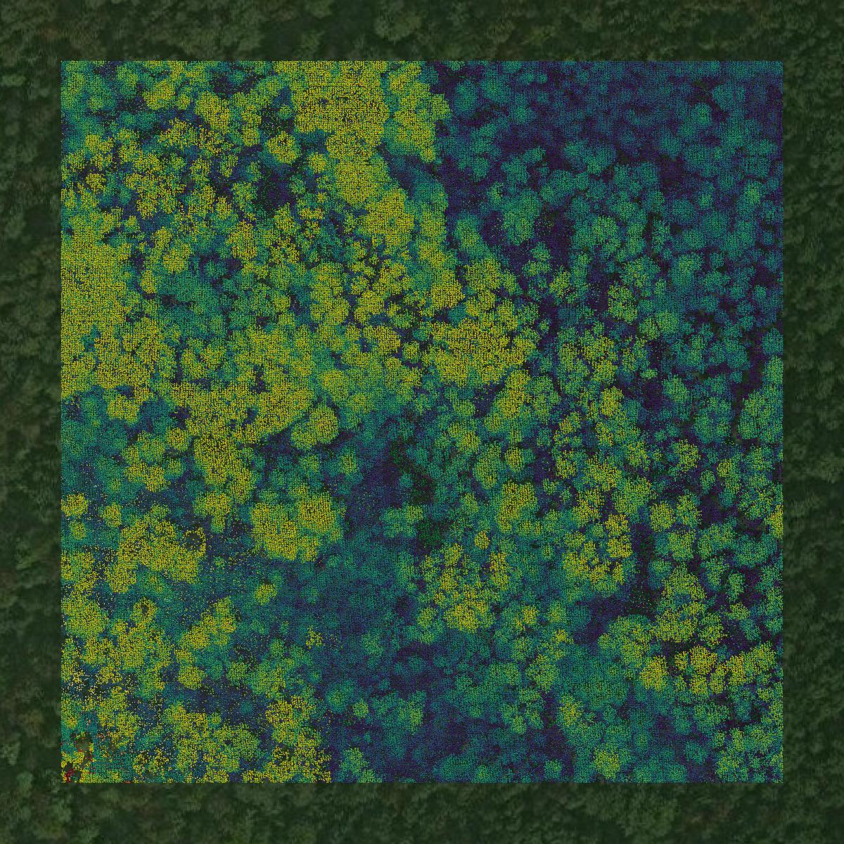 This image shows a LiDAR point cloud in Itasca County created using GIS data in Equator.