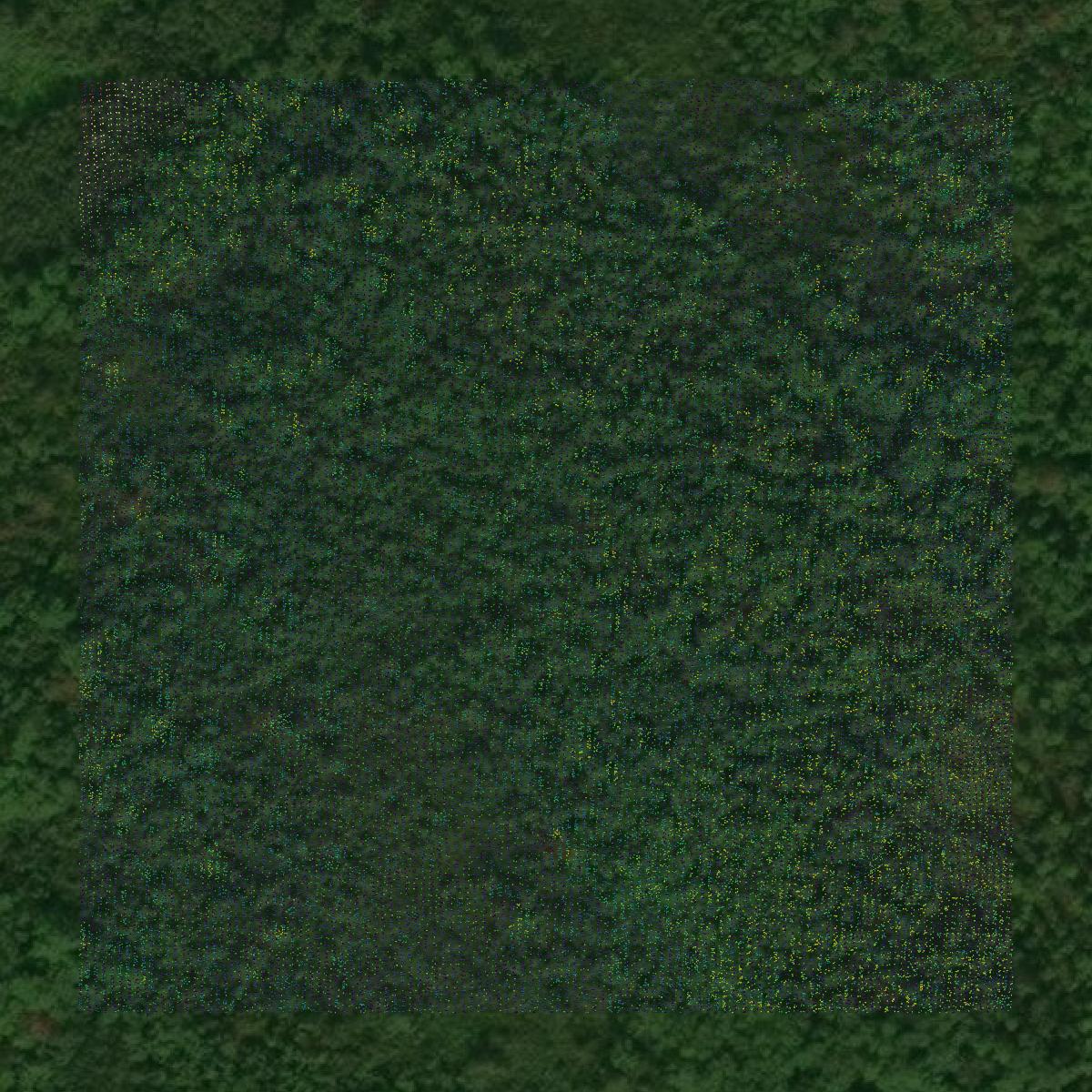 This image shows a LiDAR point cloud in Itasca County created using GIS data in Equator.