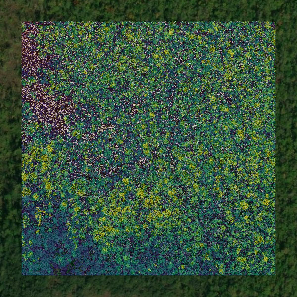 This image shows a LiDAR point cloud in Kanabec County created using GIS data in Equator.