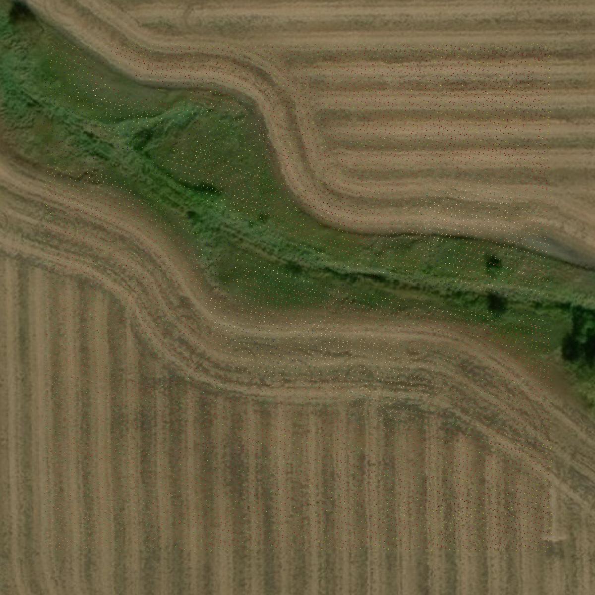 This image shows a LiDAR point cloud in Kittson County created using GIS data in Equator.