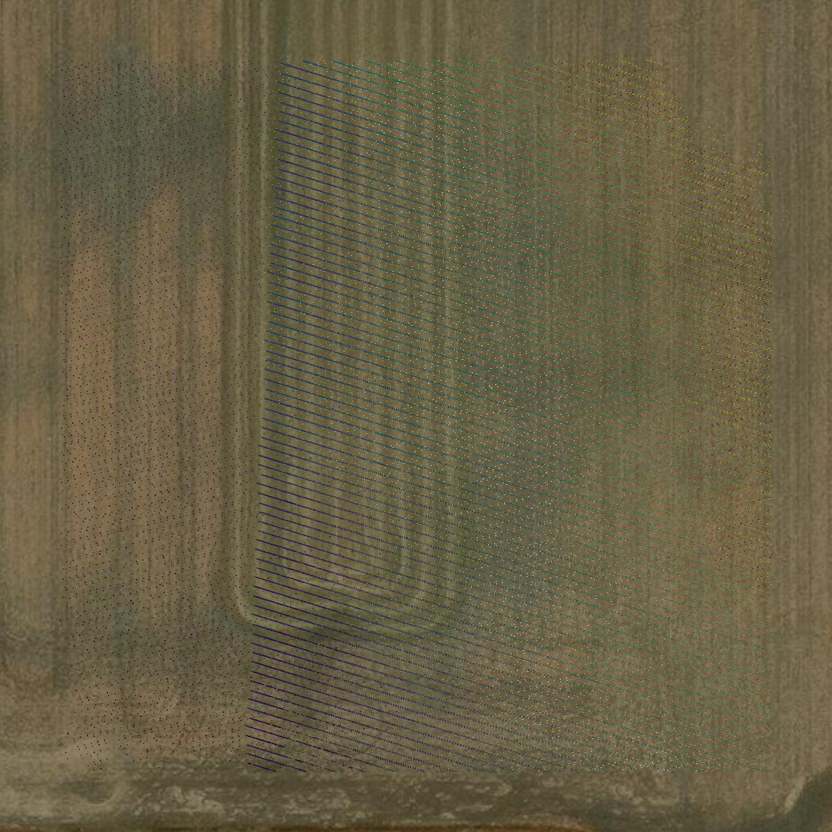 This image shows a LiDAR point cloud in Kittson County created using GIS data in Equator.