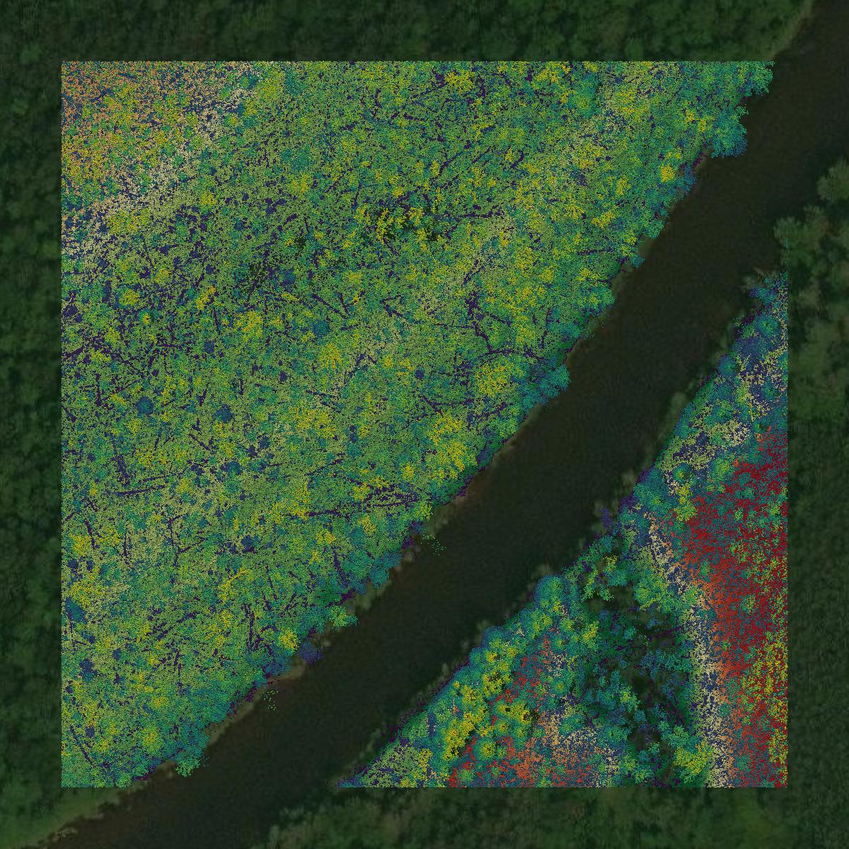 This image shows a LiDAR point cloud in Koochiching County created using GIS data in Equator.