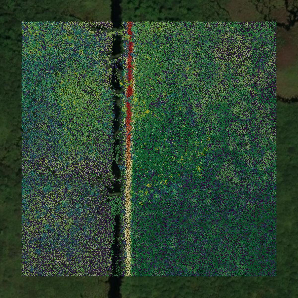 This image shows a LiDAR point cloud in Koochiching County created using GIS data in Equator.