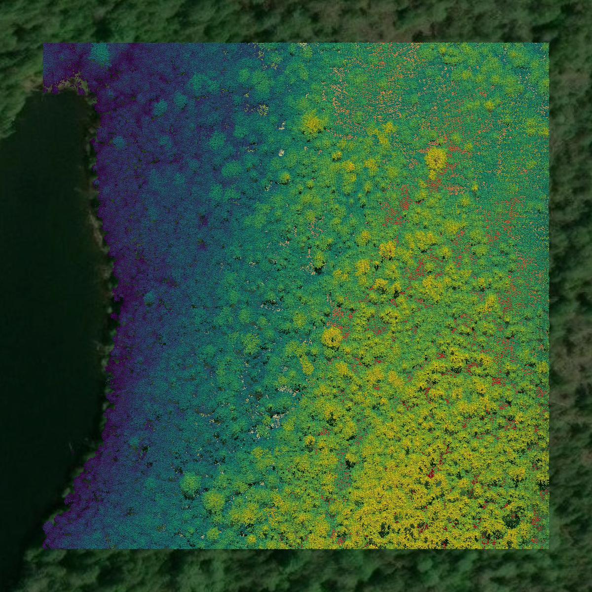 This image shows a LiDAR point cloud in Lake County created using GIS data in Equator.