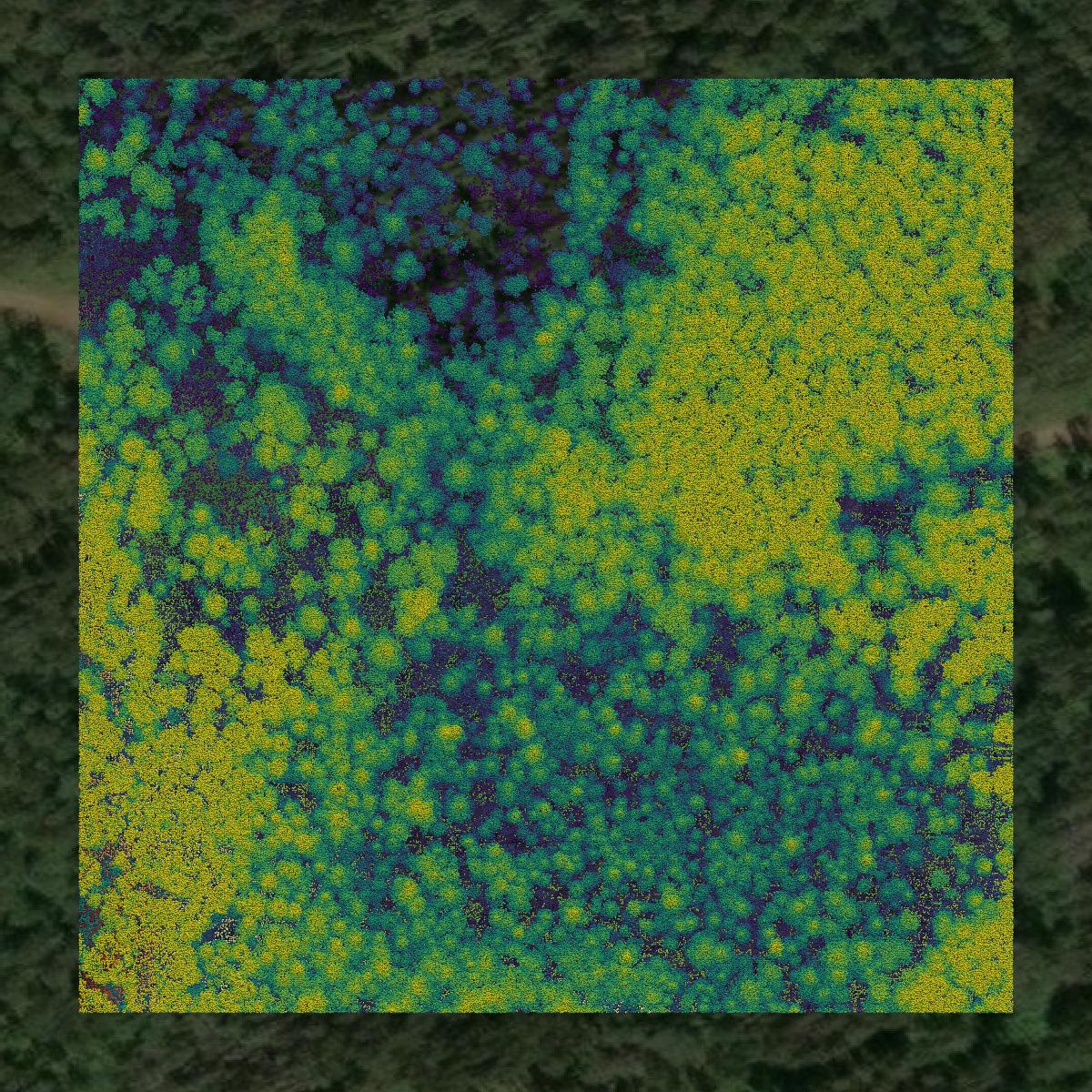 This image shows a LiDAR point cloud in Lake County created using GIS data in Equator.