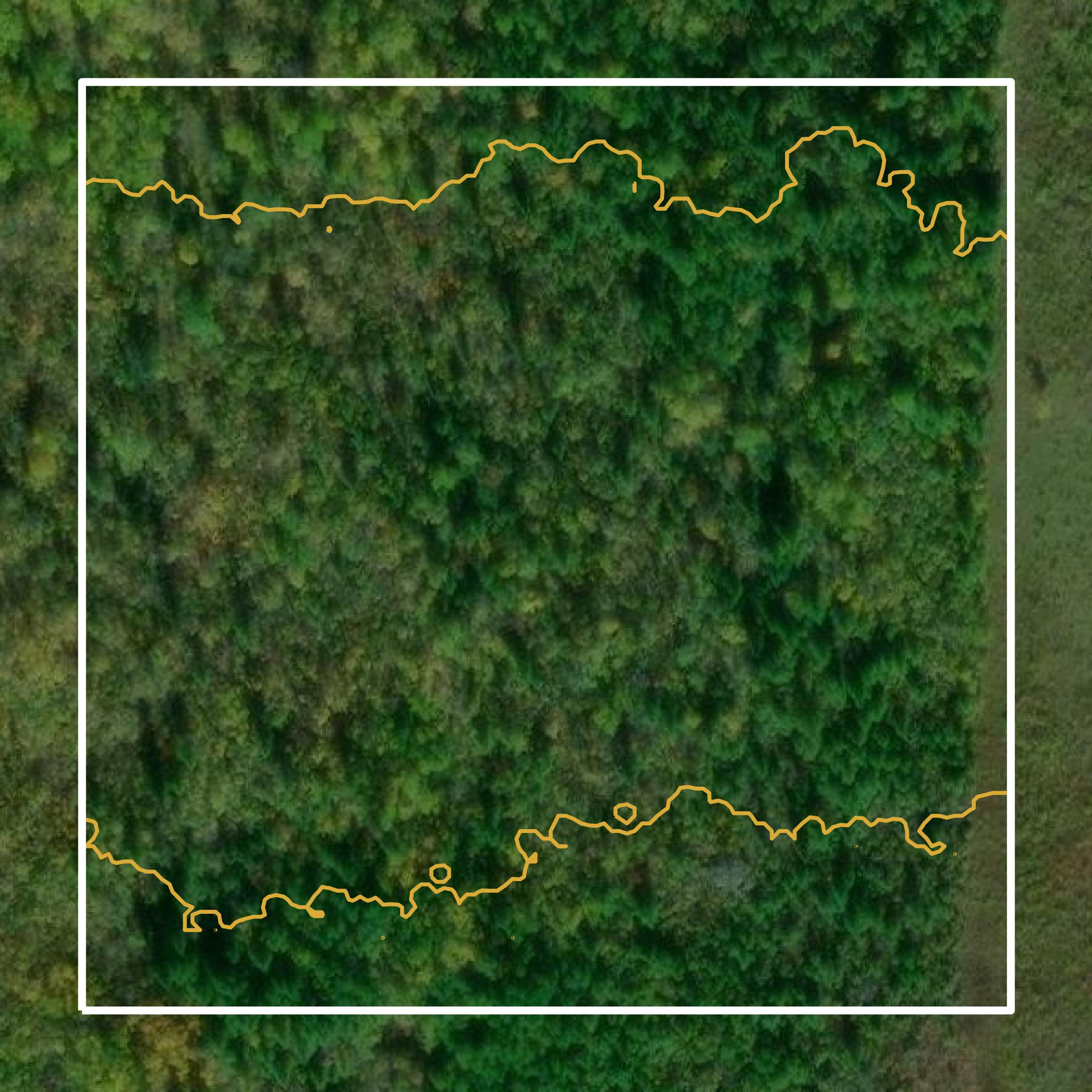This image shows a contour map in Lake of the Woods County created using GIS data in Equator.